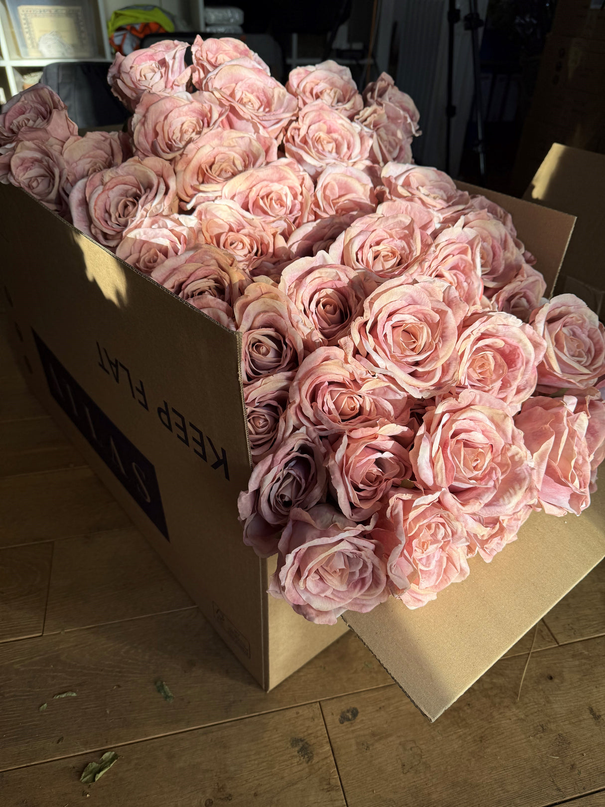 Rose Calista, Artificial, Pink Blush, 66cm