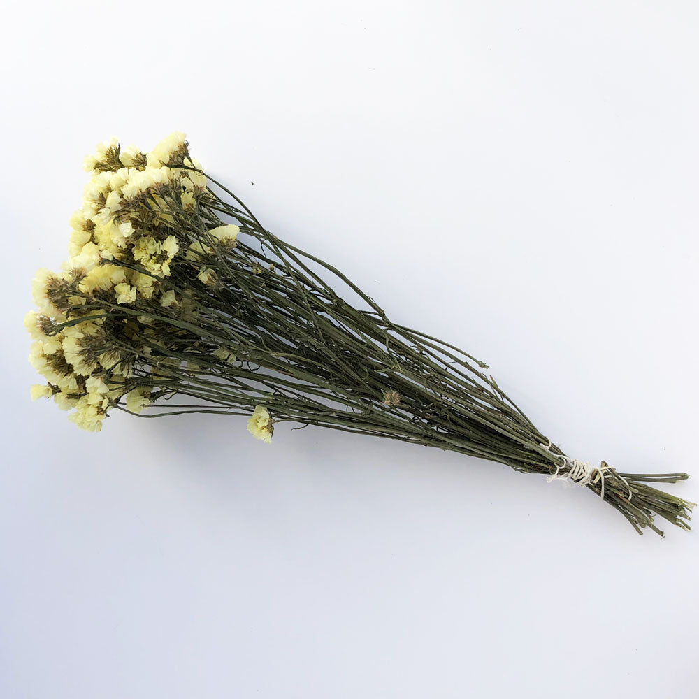 Statice sinuata, Dried, Natural Yellow