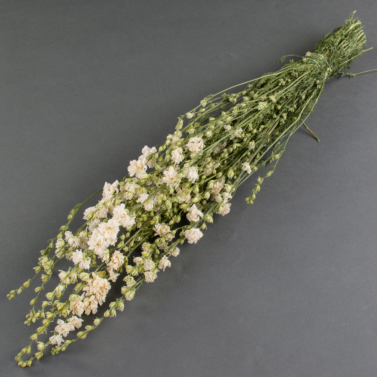 Long green stems flowering with
buds and white flowers