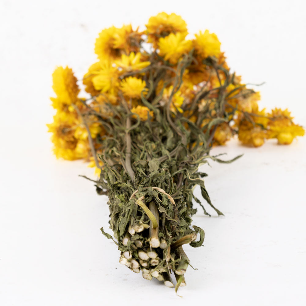 Helichrysum, Natural Yellow