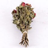 Rose Bright Torch, Dried, Natural Dark Red x 20 Stems