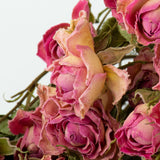 Close up detail of the flowers within bunch of dried pink spray roses.