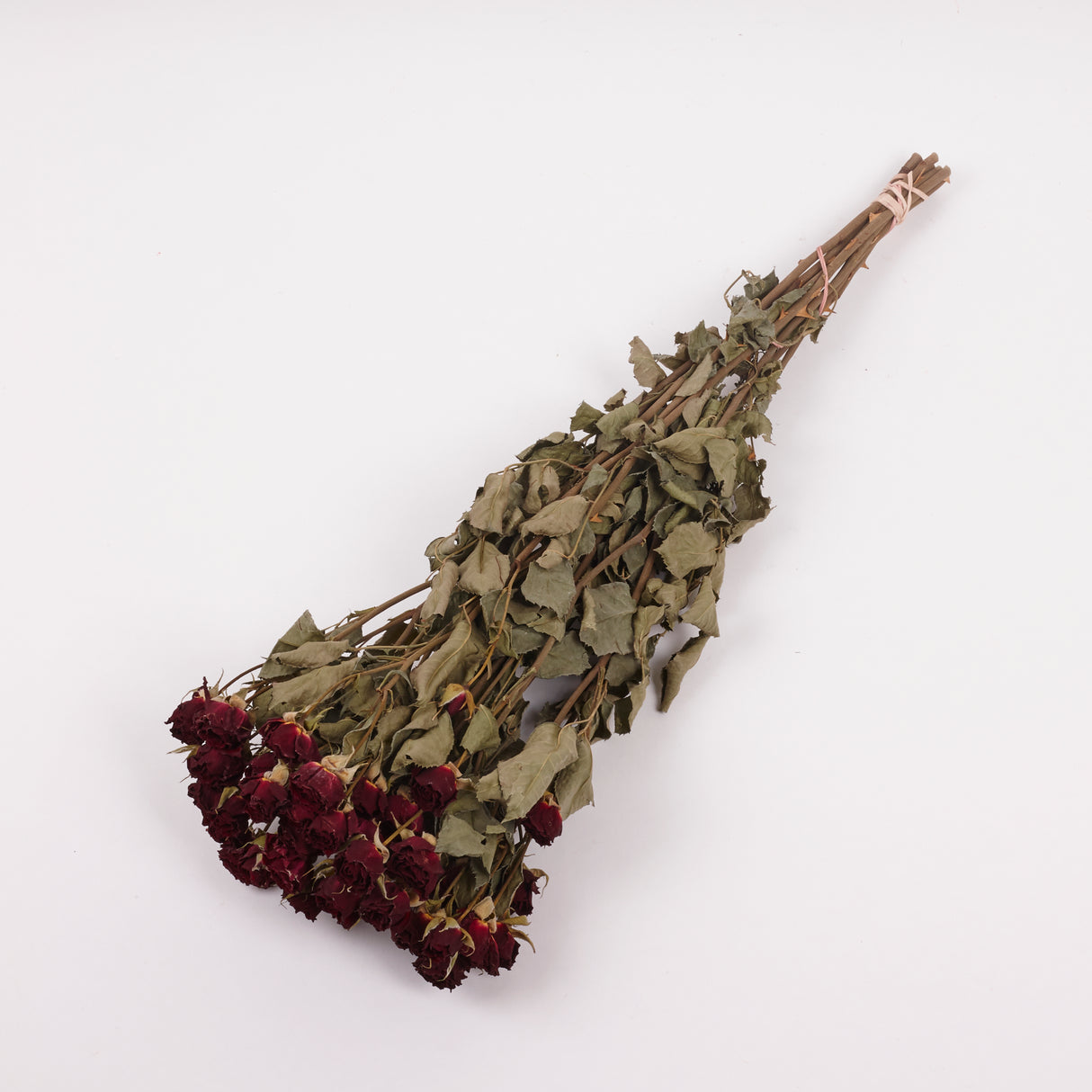 Roses, Spray, Dried, Natural Red, x 10 Stems