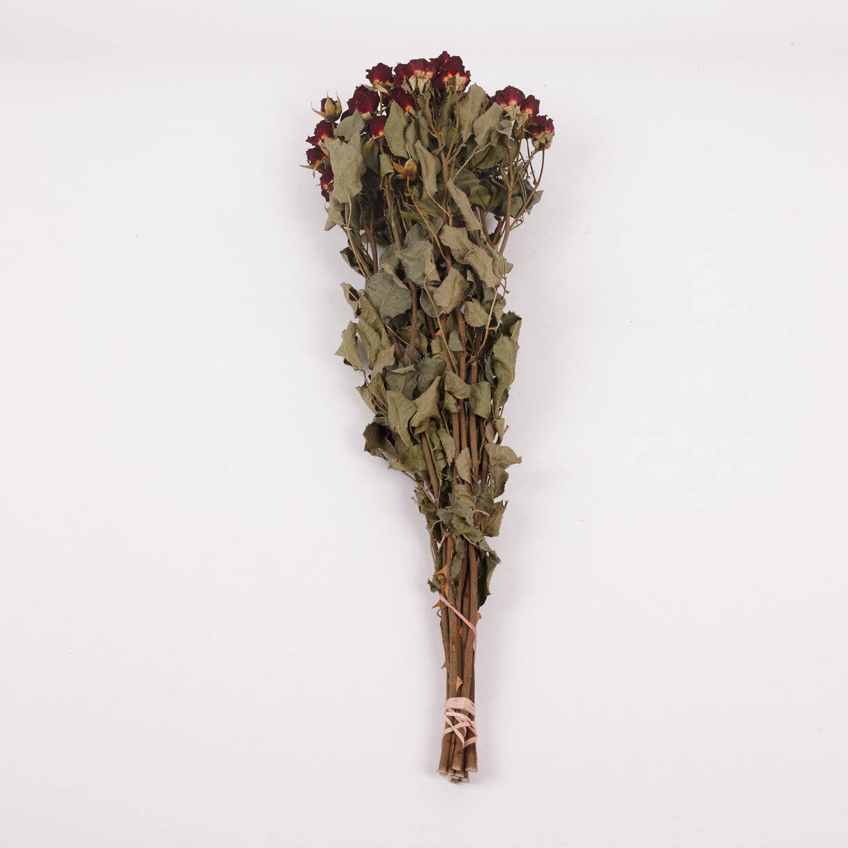 Roses, Spray, Dried, Natural Red, x 10 Stems