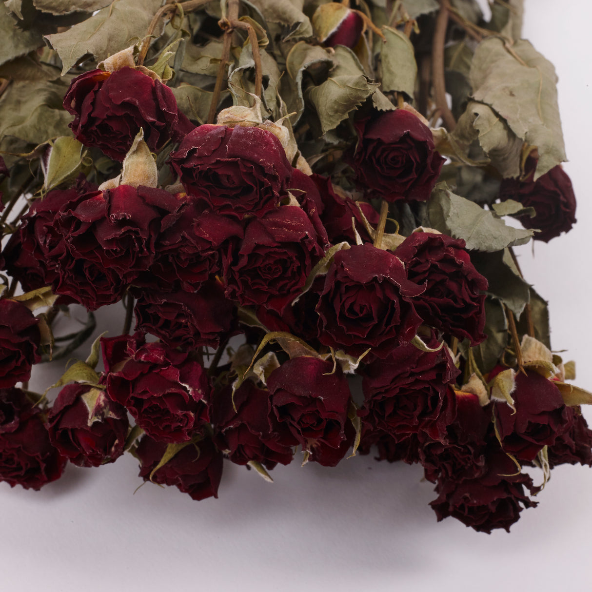 Roses, Spray, Dried, Natural Red, x 10 Stems