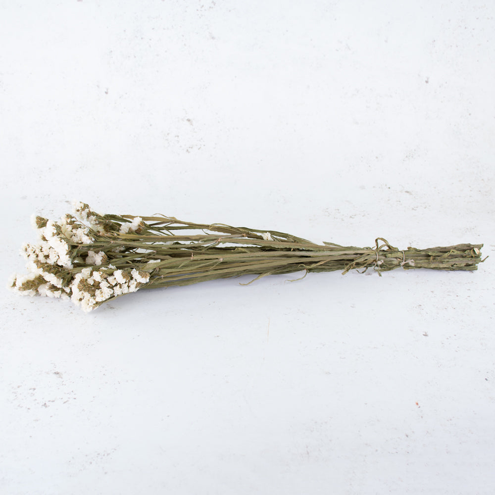 Statice Sinuata, Dried, Natural White