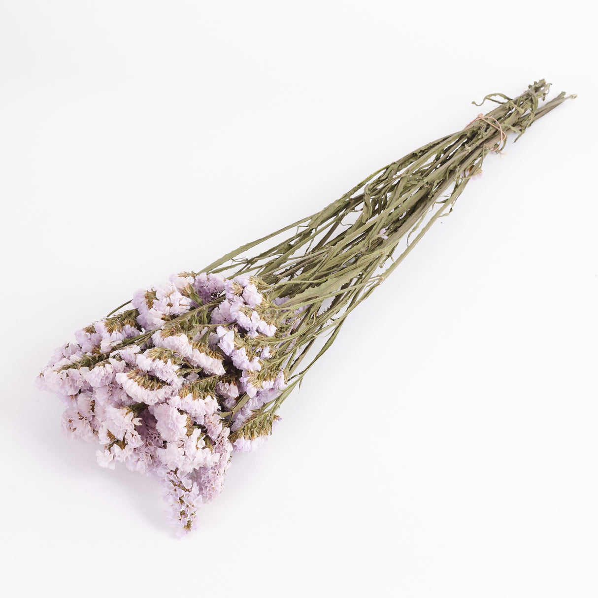 Statice sinuata Natural Lilac colour, Dried. Image shows a full bunch