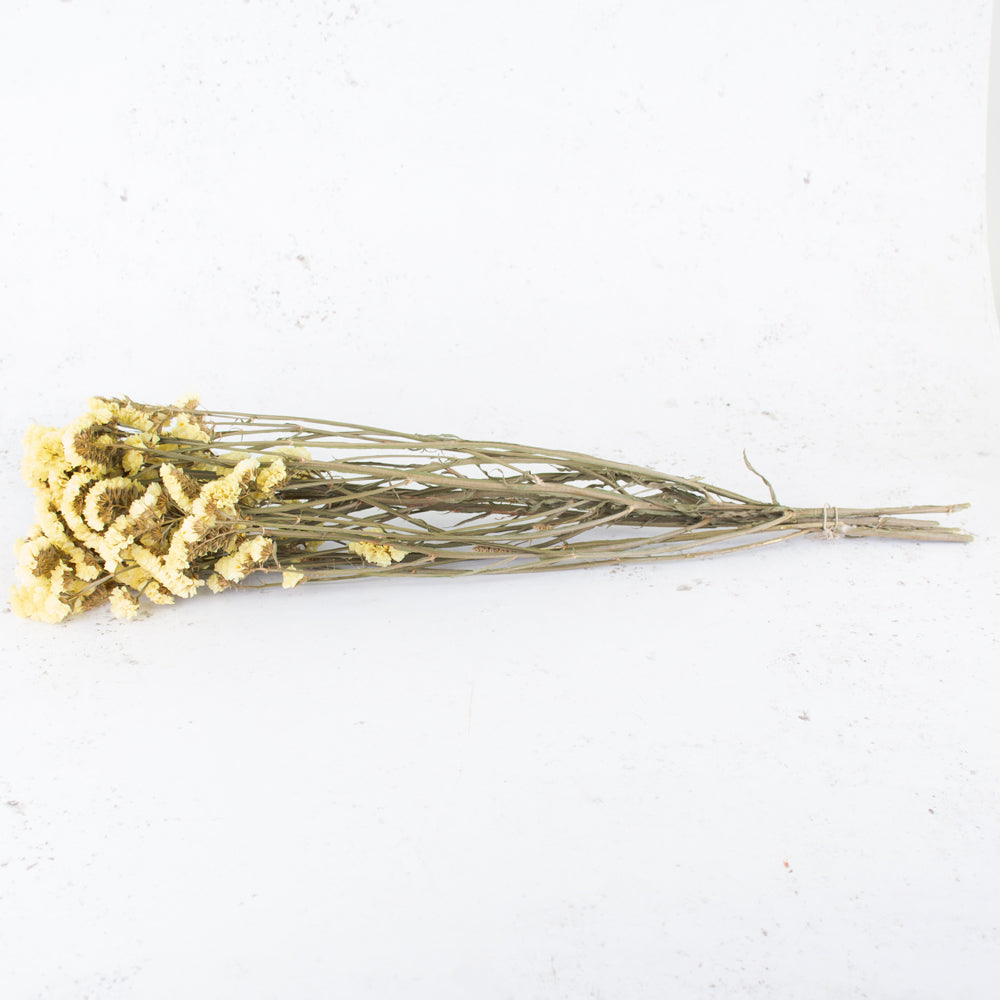Statice sinuata, Dried, Natural Yellow