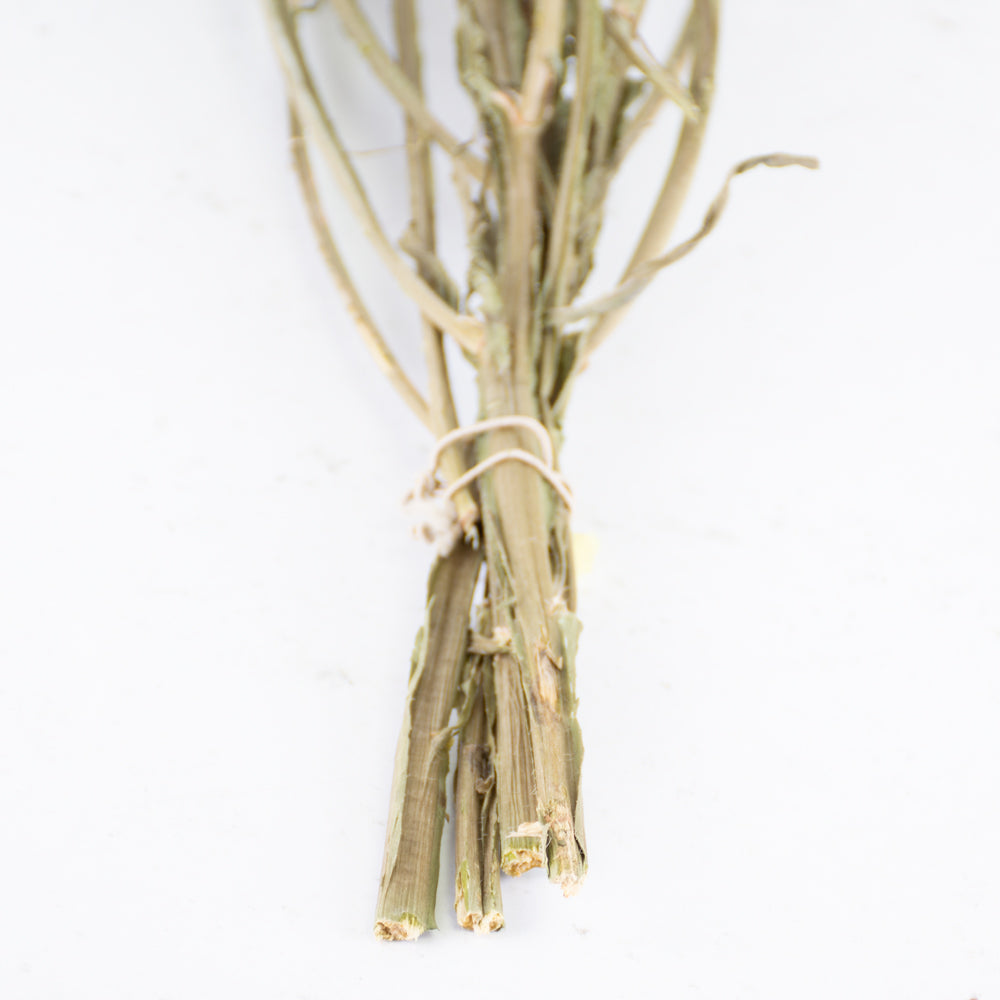 Statice sinuata, Dried, Natural Yellow