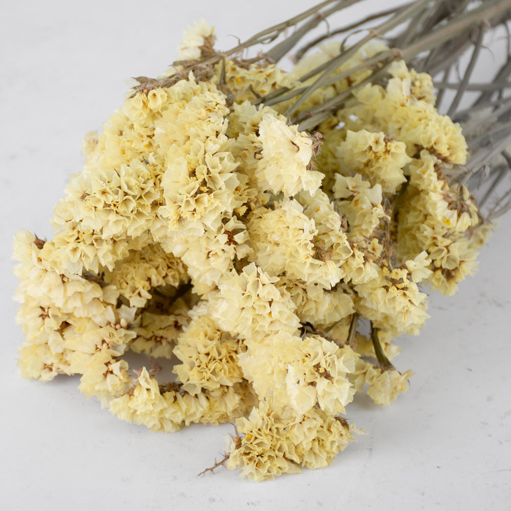 Statice sinuata, Dried, Natural Yellow