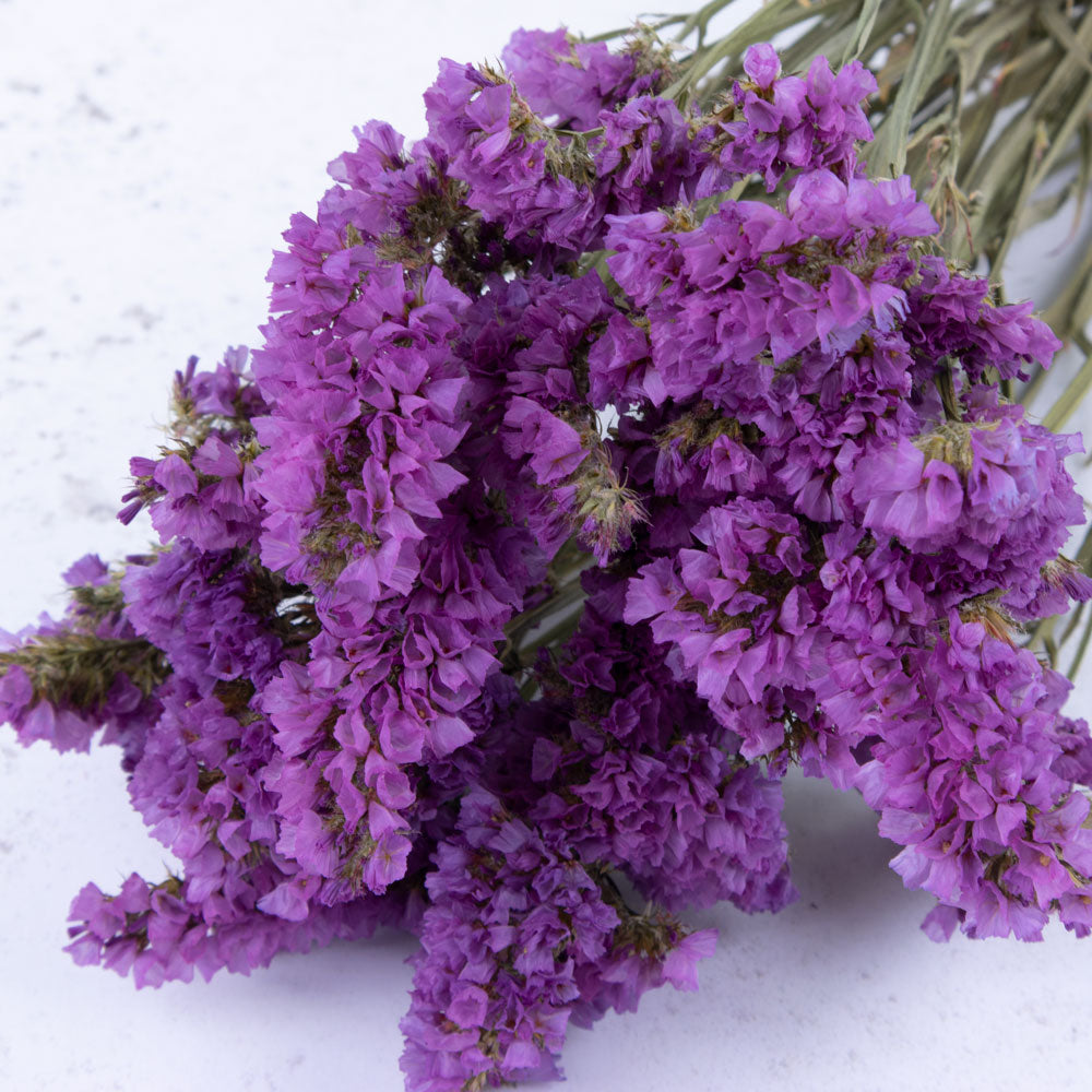 Statice sinuata, Natural Dark Pink