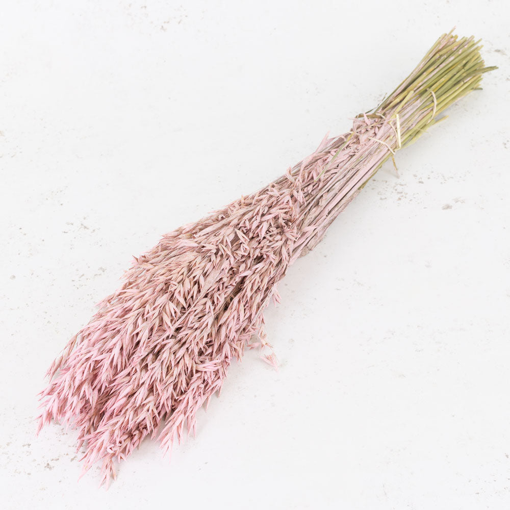 Oats, Dried, Pink Misty