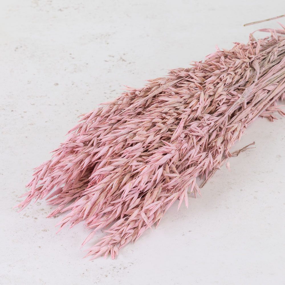 Oats, Dried, Pink Misty