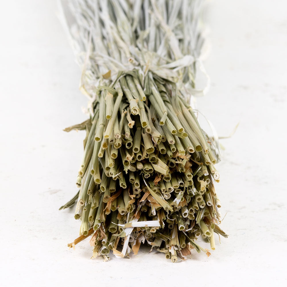 Wheat, (triticum), White Misty