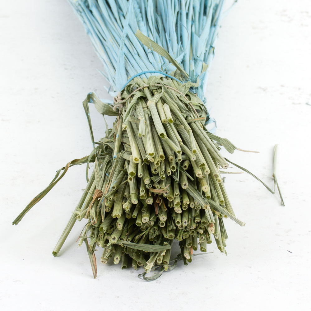 Wheat, (triticum), Blue Misty