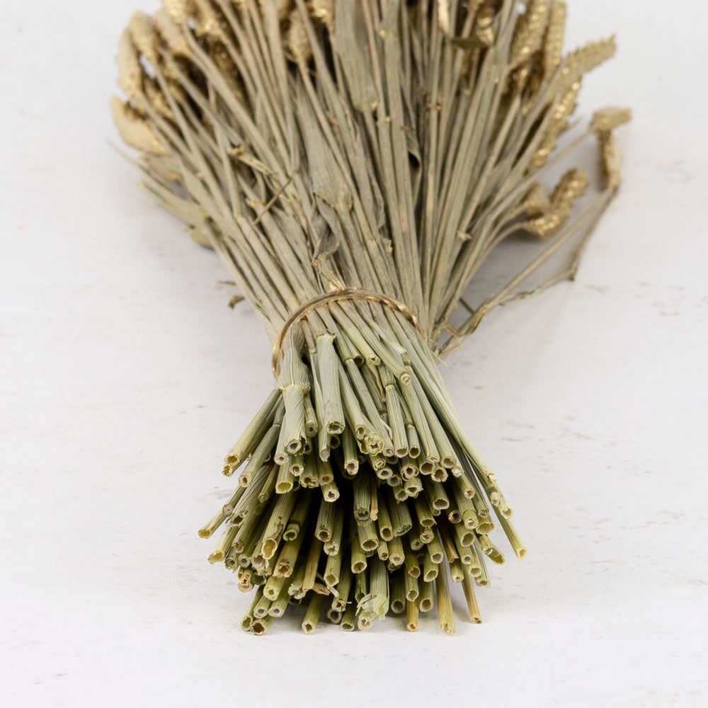 Wheat-Tarwe-Metallic-Gold-Bunch