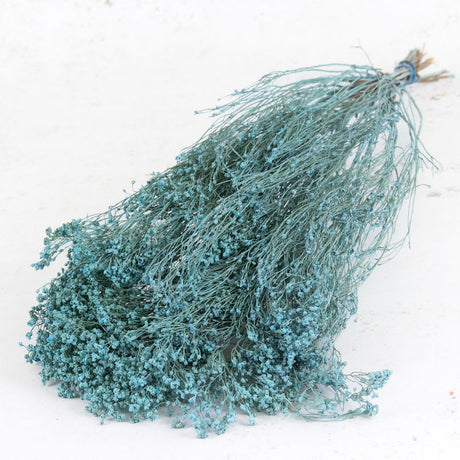 Broom Bloom, Dried, Blue Misty