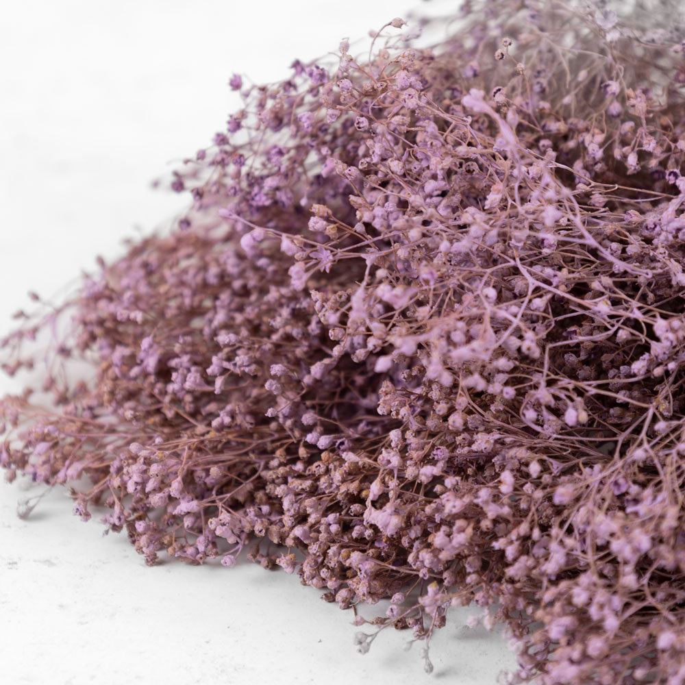 Bushy branches with tiny purple flowers on the end