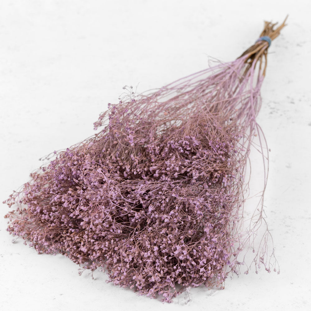 Bushy branches with tiny purple flowers on the end