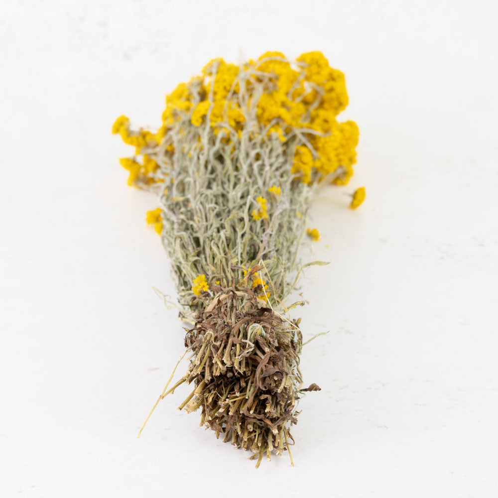 Sanfordii, Natural Yellow
