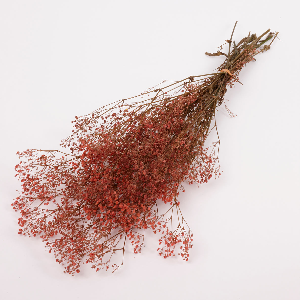 Gypsophila, Preserved, Pink, 100g Bunch