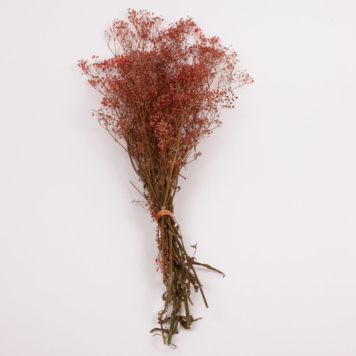 Gypsophila, Preserved, Pink, 100g Bunch