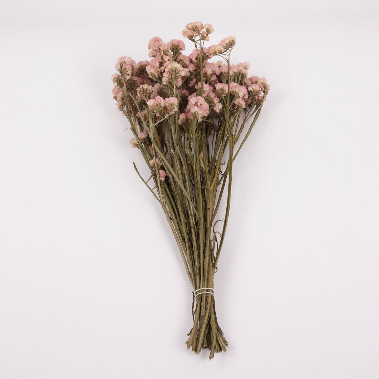 Statice Sinuata, Dried, Peach, 45cm Bunch