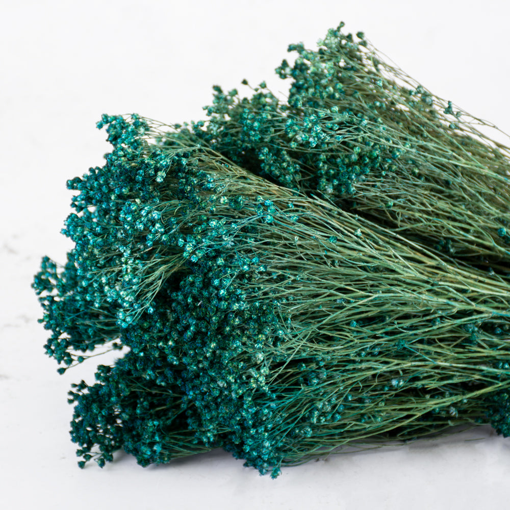 Broom Bloom, Dried, Dyed Emerald Green, 100g