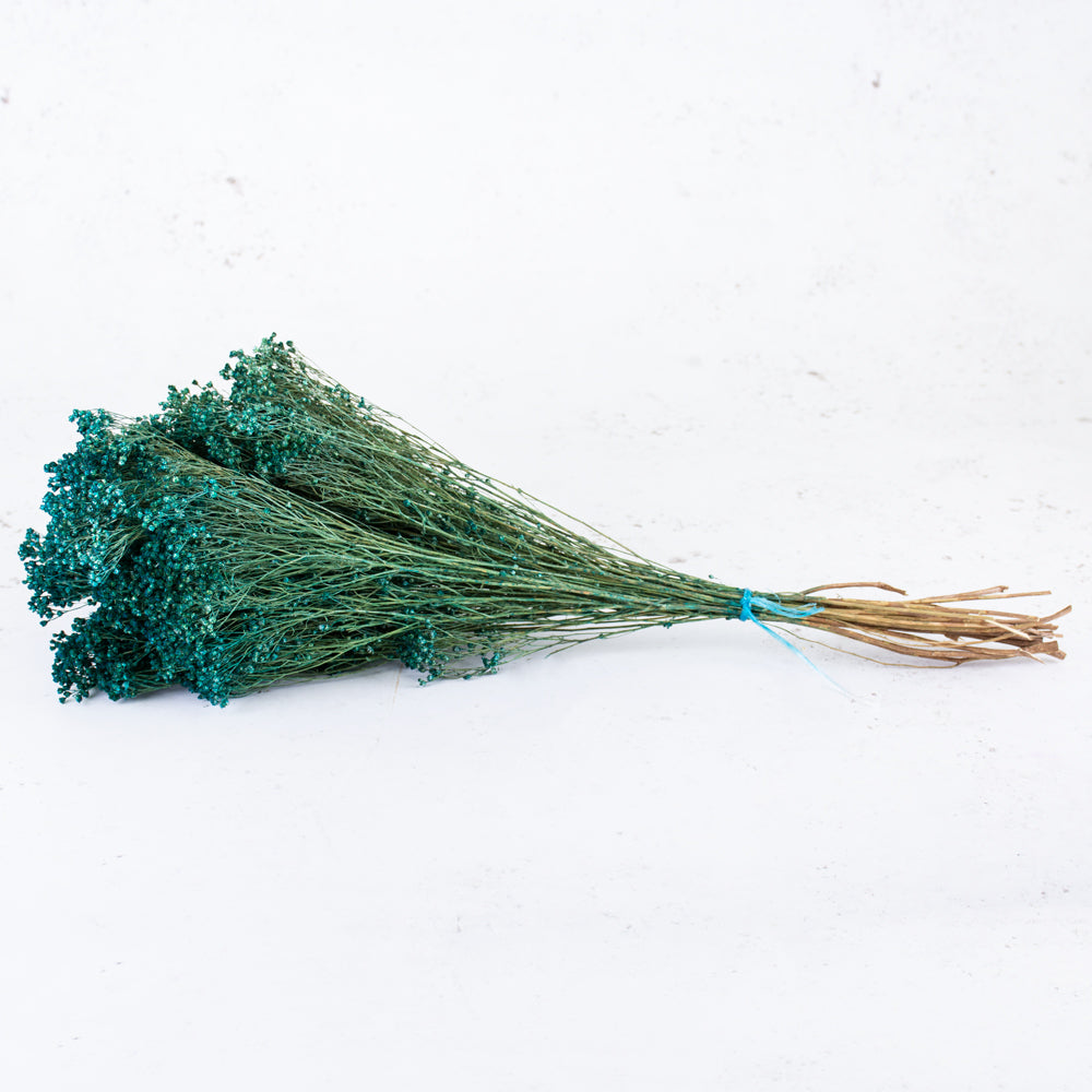 Broom Bloom, Dried, Dyed Emerald Green, 100g