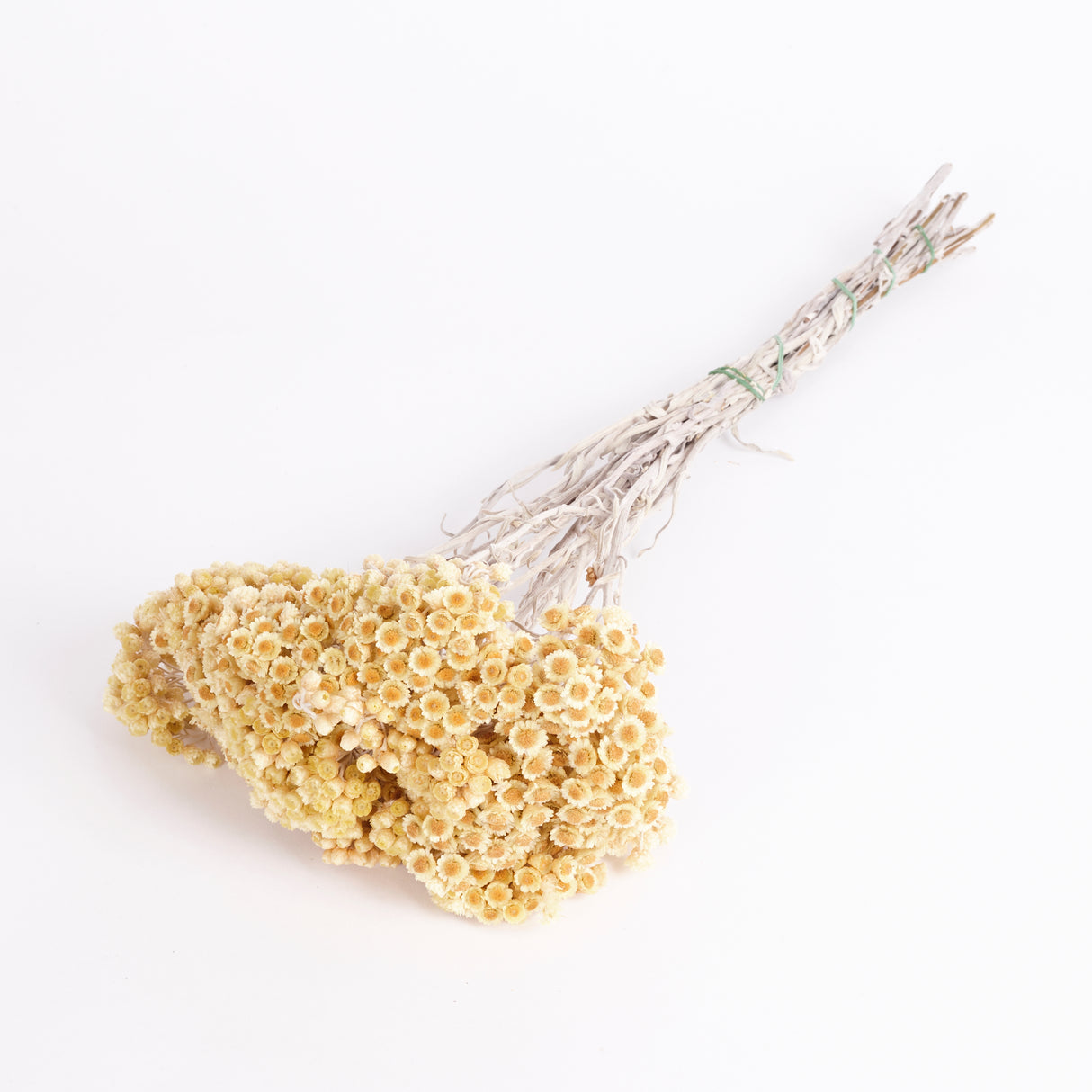 Helichrysum Immortelle Natural Honey Dried Flower Bunch. Image shows a full bunch with lovely soft yellow flowers with darker yellow centres