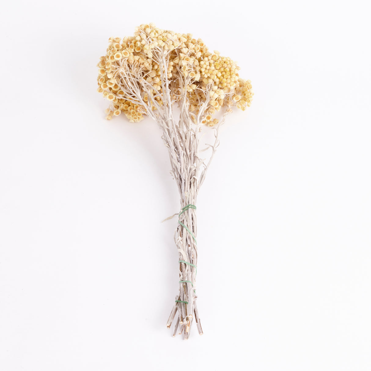 Helichrysum Immortelle, Dried, Natural Honey, 50g