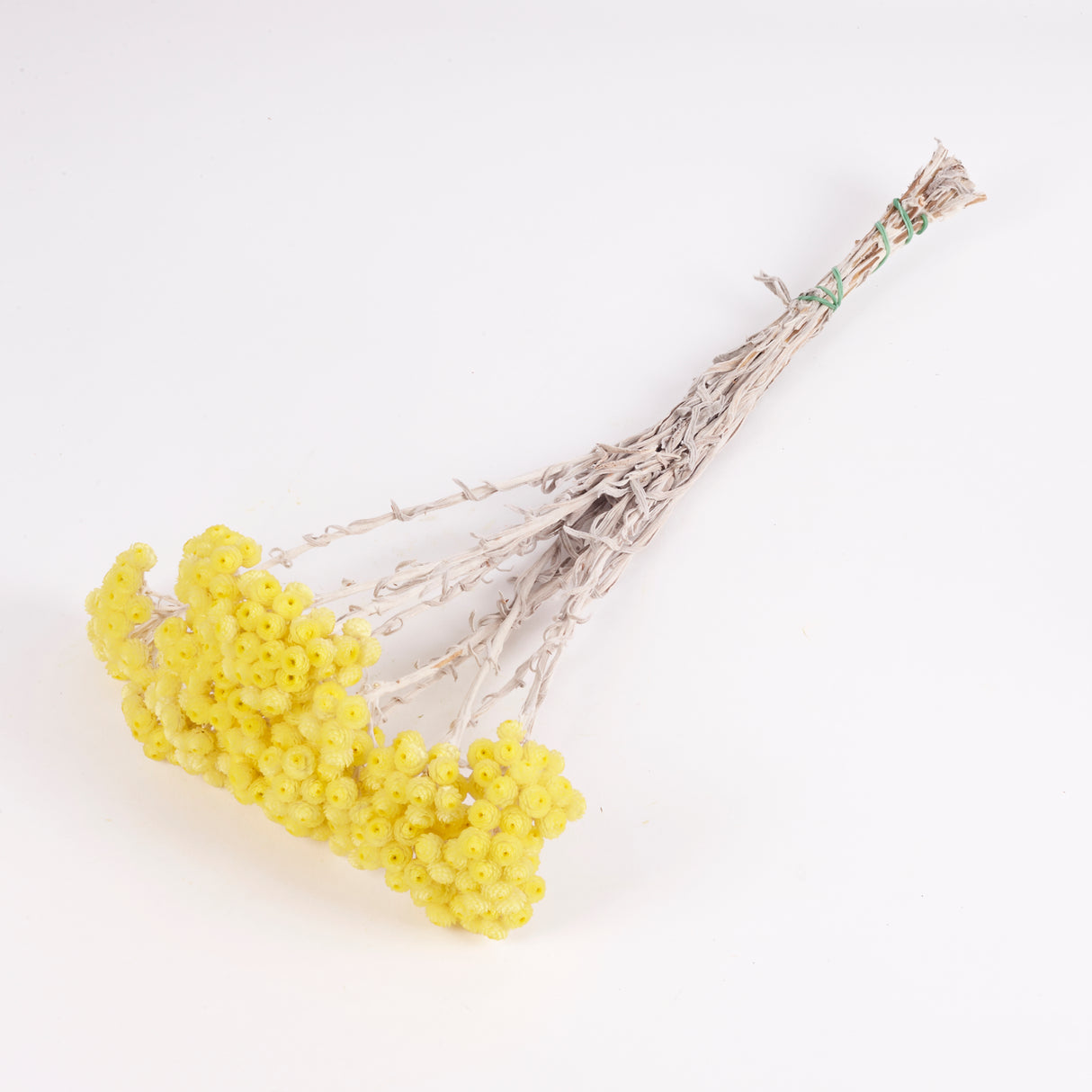 Helichrysum Immortelle, Natural Yellow, 50g