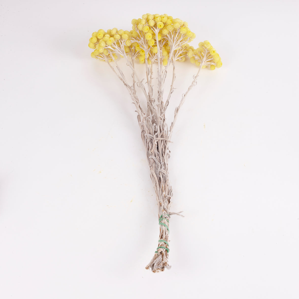 Helichrysum Immortelle, Natural Yellow, 50g