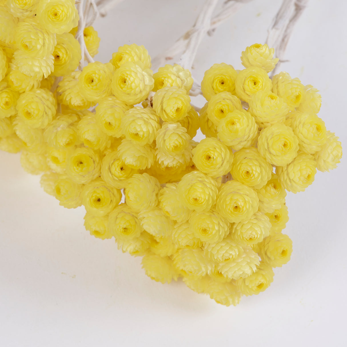 Helichrysum Immortelle, Natural Yellow, 50g