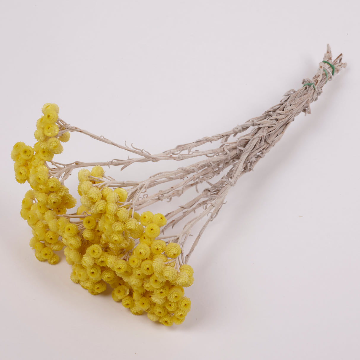 Helichrysum Immortelle, Natural Yellow, 50g
