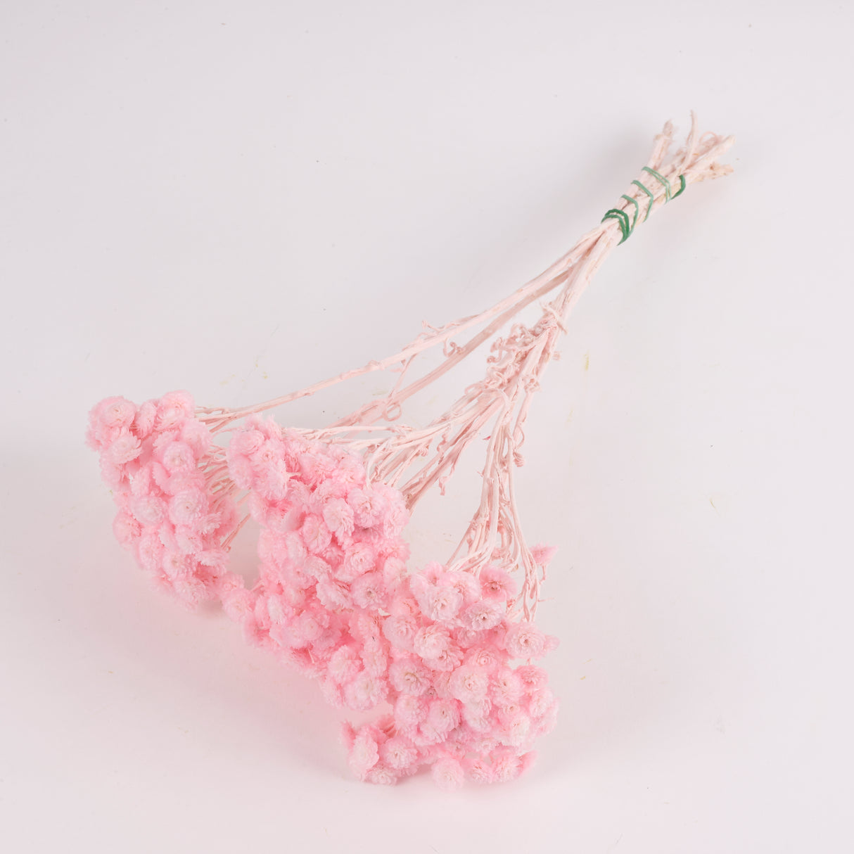 Helichrysum Immortelle, Dried, Dyed Pink, 40g