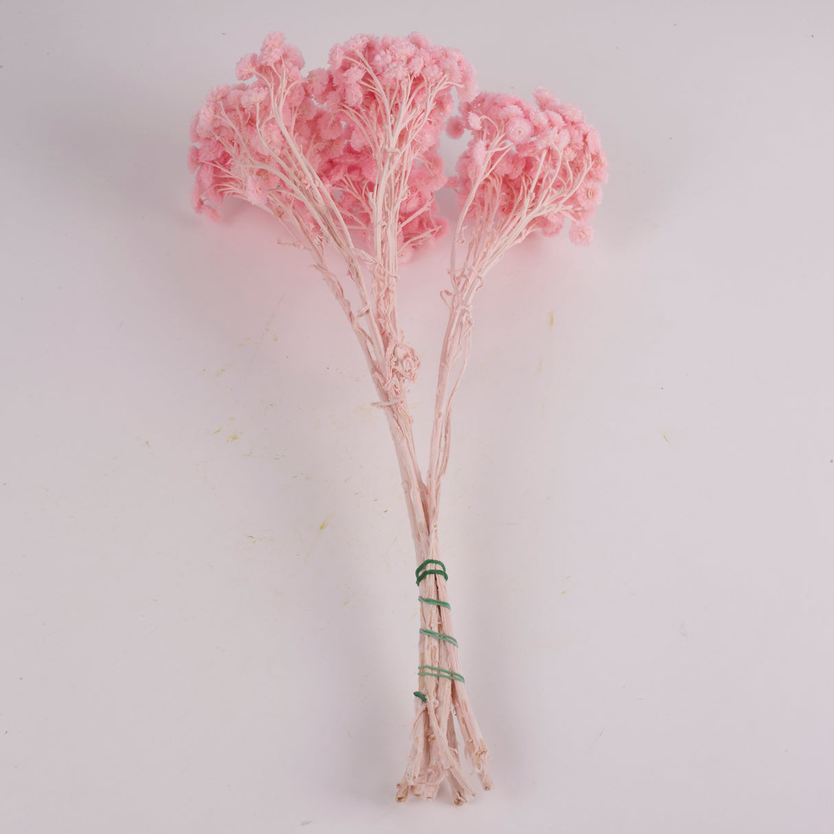 Helichrysum Immortelle, Dried, Dyed Pink, 40g