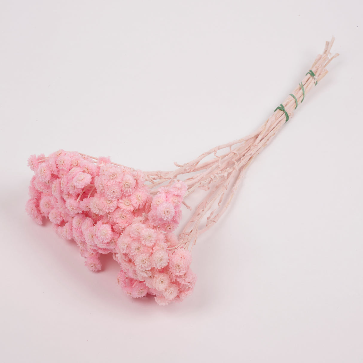 Helichrysum Immortelle, Dried, Dyed Pink, 40g