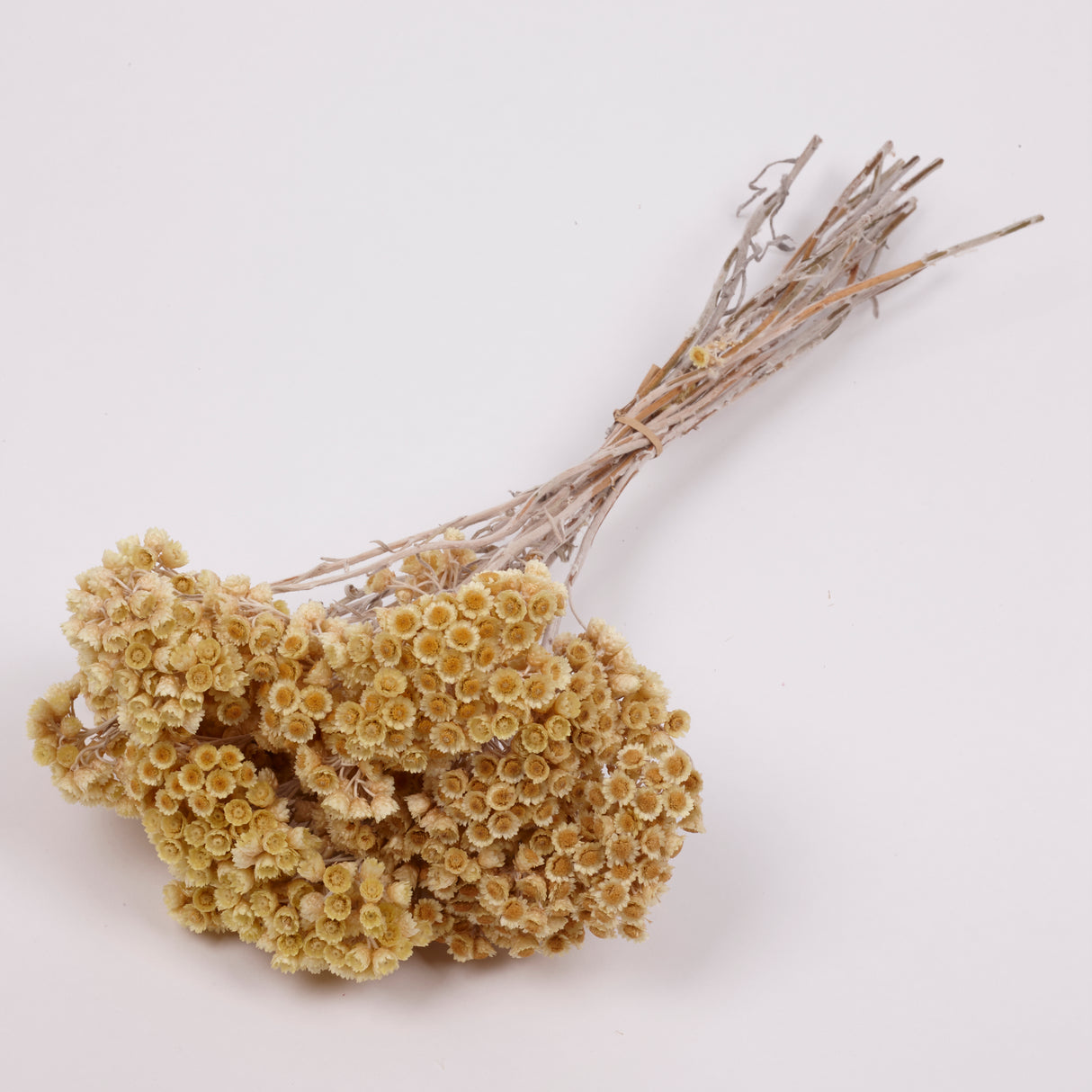 Helichrysum Immortelle, Dried, Natural Honey, 50g