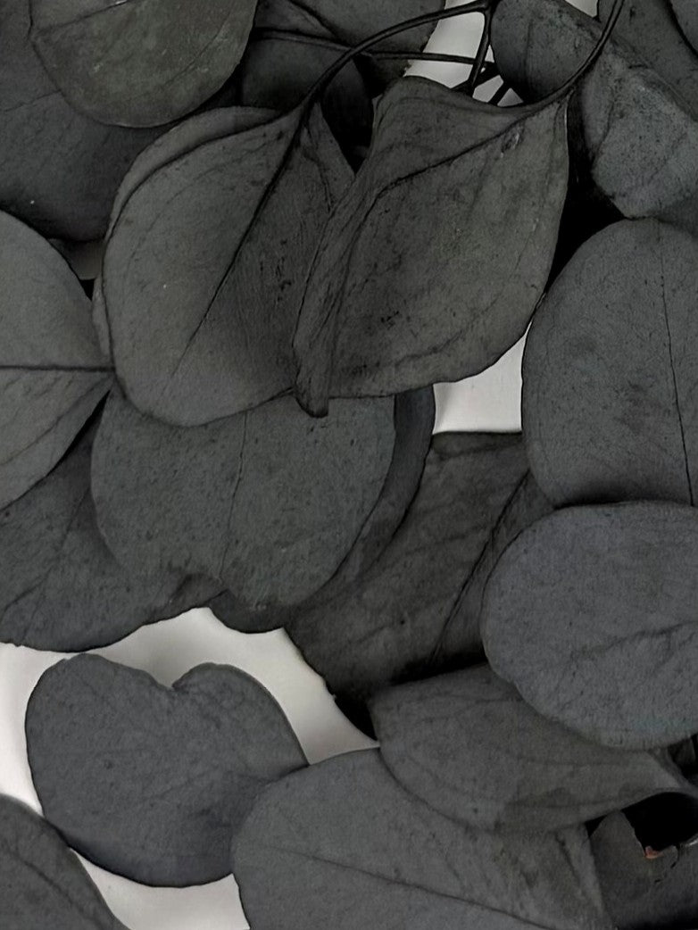 Eucalyptus Populus, Preserved, Dark Green, 150g