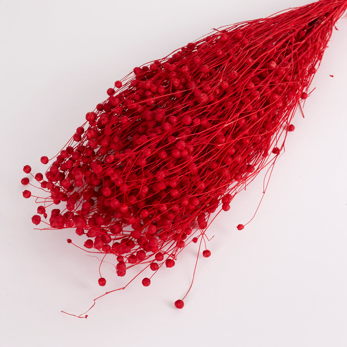 Linum (flax), Dried, Red, 100g bunch