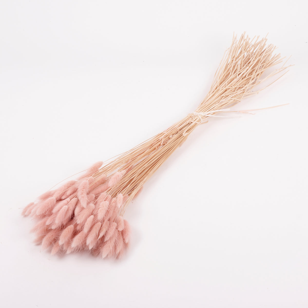 Lagurus ovatus, (Bunny Tails), Dried, Pale Pink, 100g