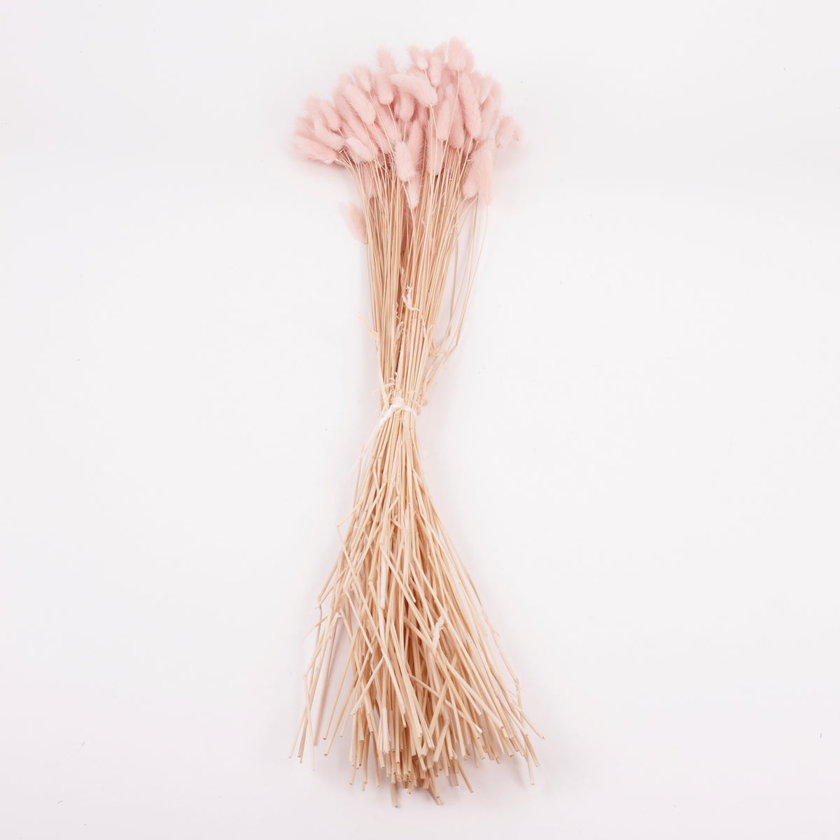 Lagurus ovatus, (Bunny Tails), Dried, Pale Pink, 100g