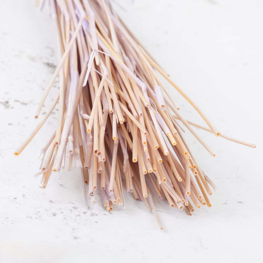 Lagurus ovatus (Bunny Tails) Milka, 100g