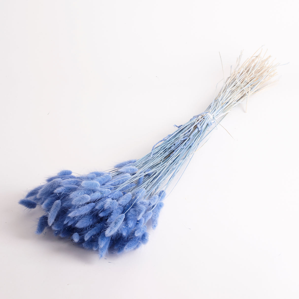 Lagurus Ovatus, (Bunny Tails), Dried, Jeans, 100g