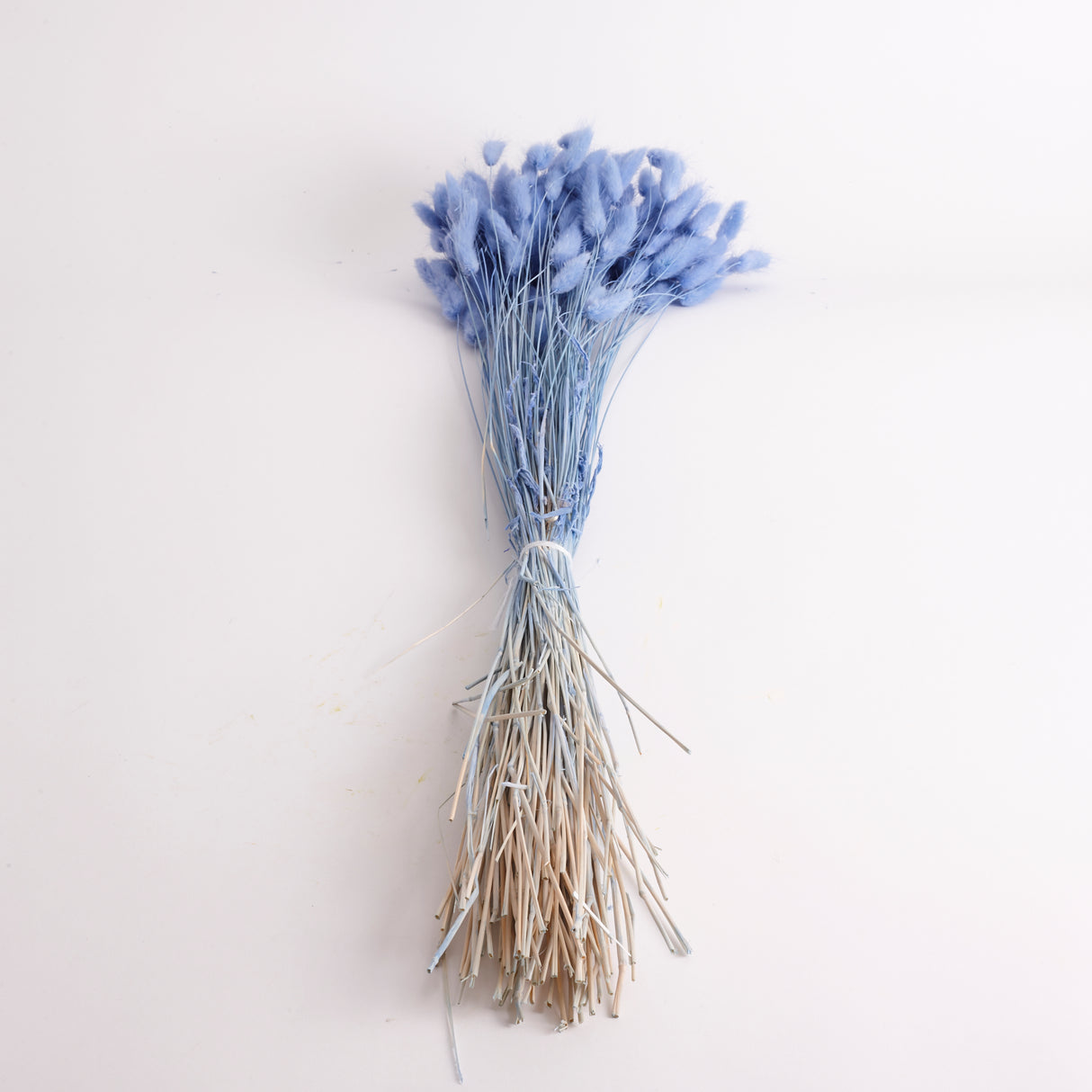 Lagurus Ovatus, (Bunny Tails), Dried, Jeans, 100g