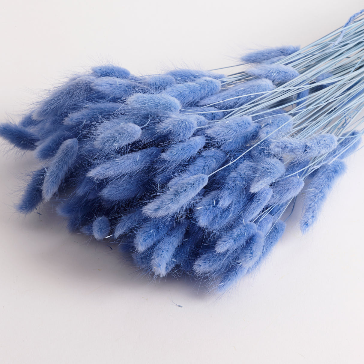 Lagurus Ovatus, (Bunny Tails), Dried, Jeans, 100g