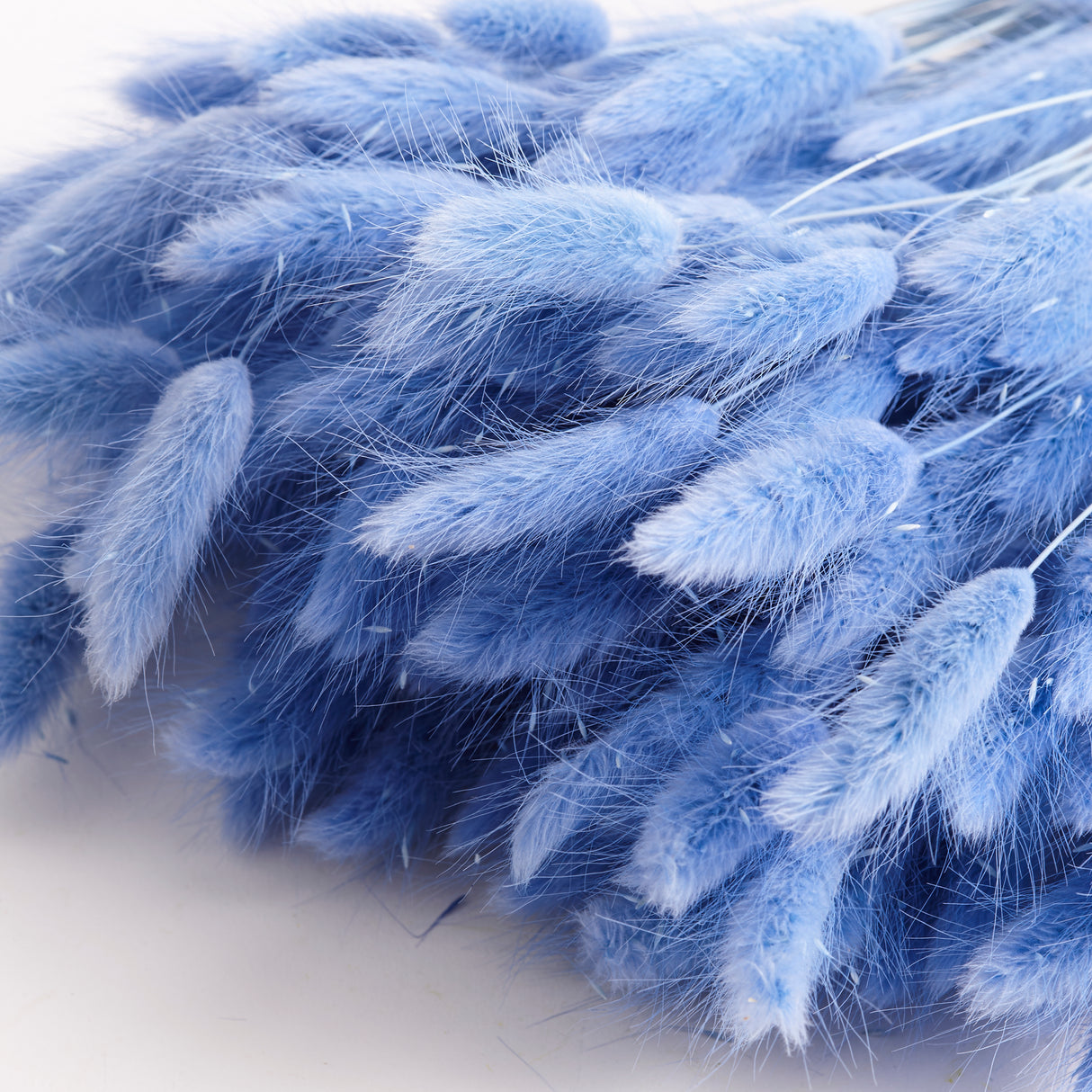 Lagurus Ovatus, (Bunny Tails), Dried, Jeans, 100g