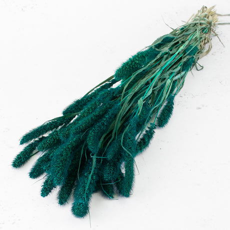 Setaria Grass, Emerald Green, 65cm Bunch