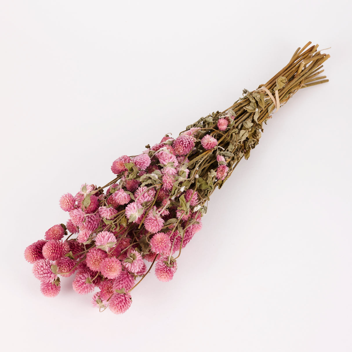 Gomphrena, Dried, Natural Lilac, 80g Bunch